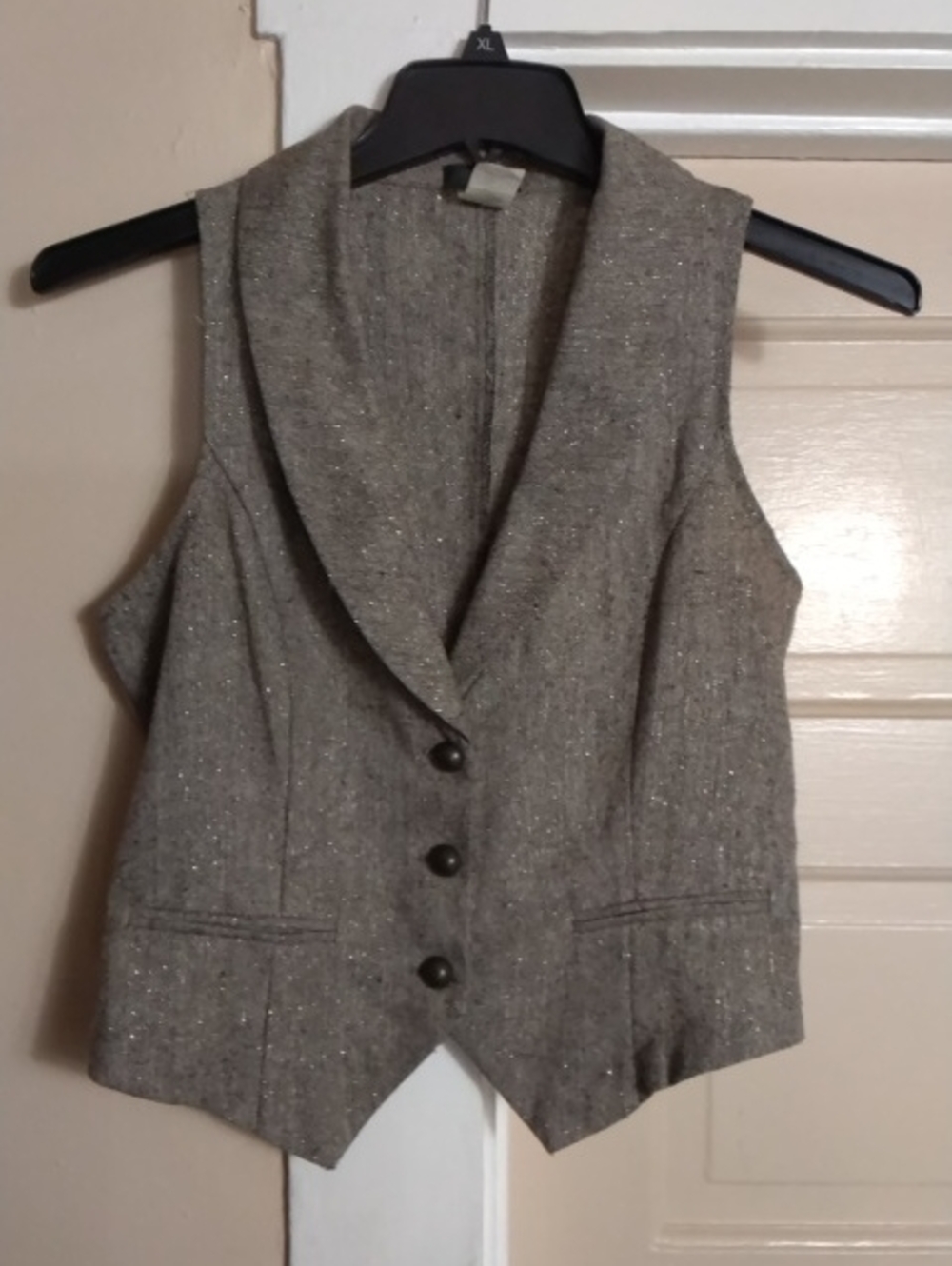 Have Taupe Sparkle Sleeveless Button Vest